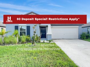 10379 Alder Green Dr, Riverview, FL 33578