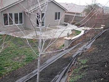 1st image of 4402 Menaggio Way