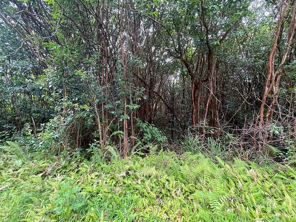 1st image of Lanai St Lot 699