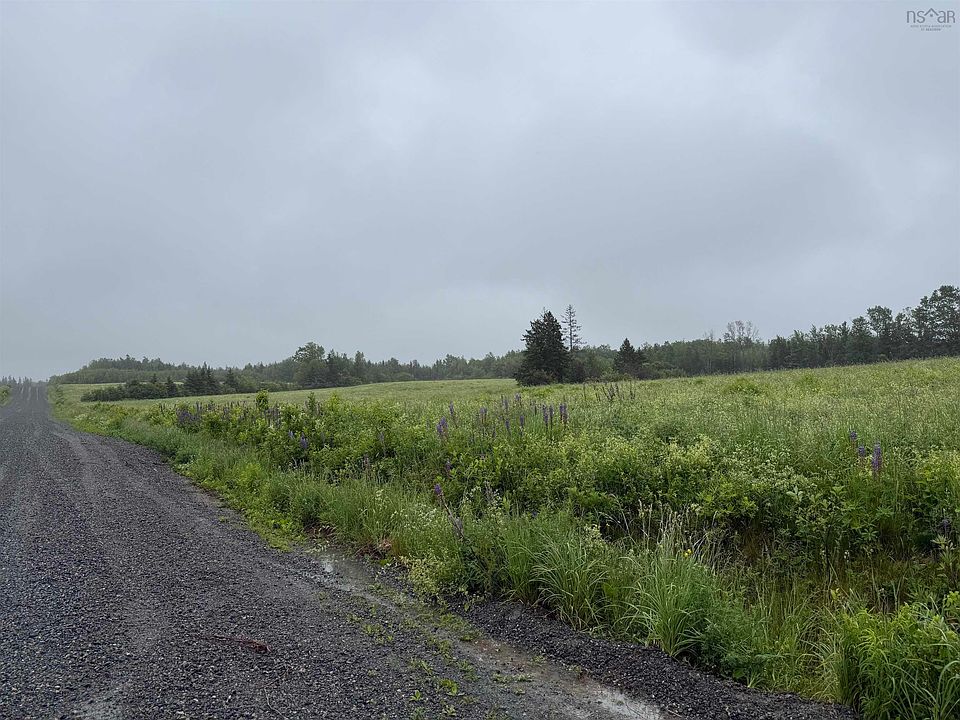 2nd image of Wallie Mingo Rd
