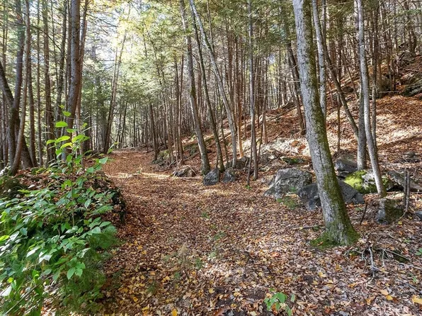 0 Orange Rd, Warwick, MA 01378