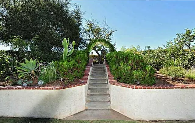 back yard