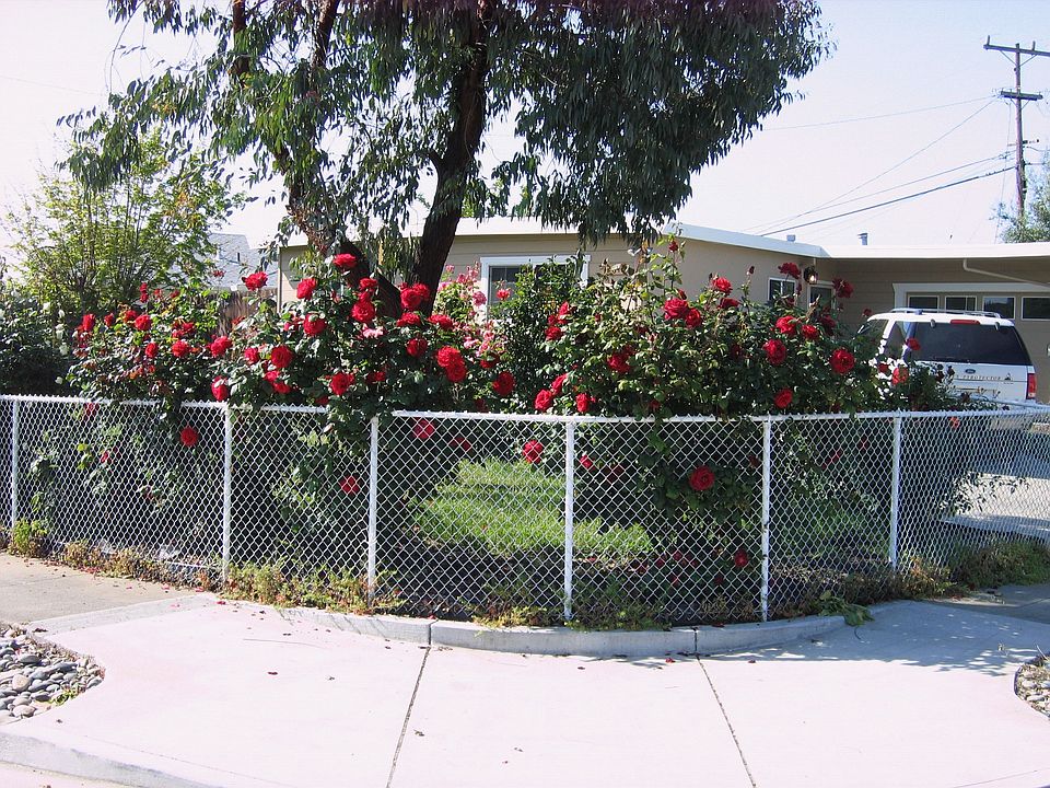 view from corner of Applewood and Cherrywood