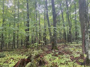 0 N Minnesota Ridge Ln, Hayward, WI 54843