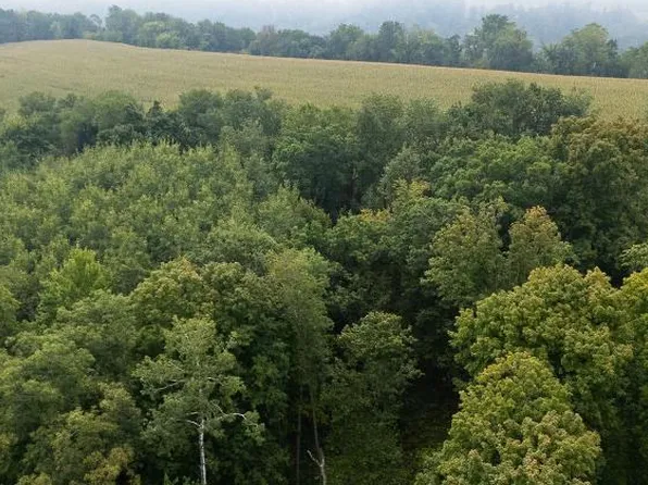 LOT 3 Goat Back Rd, Pepin, WI 54759