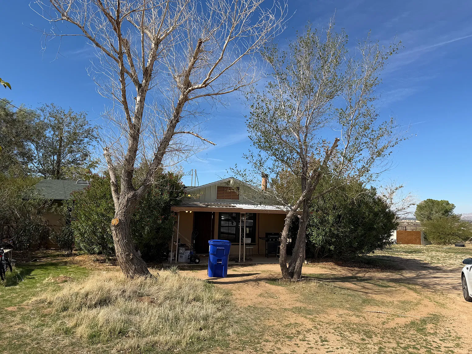 1 bed, 1000 sqft, $2,100 — Photo 4
