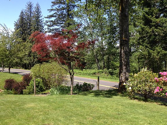 Front yard