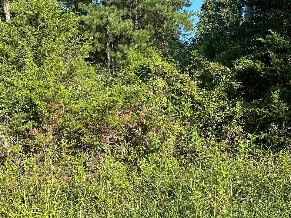 2nd image of 0 Lipscomb Rd #1 & 2b