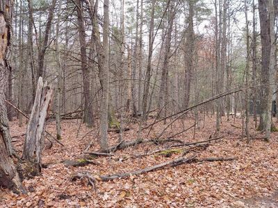 0 Pinewood Dr #0, Roscommon, MI, 48653