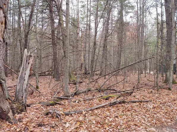 0 Pinewood Dr #0, Roscommon, MI 48653