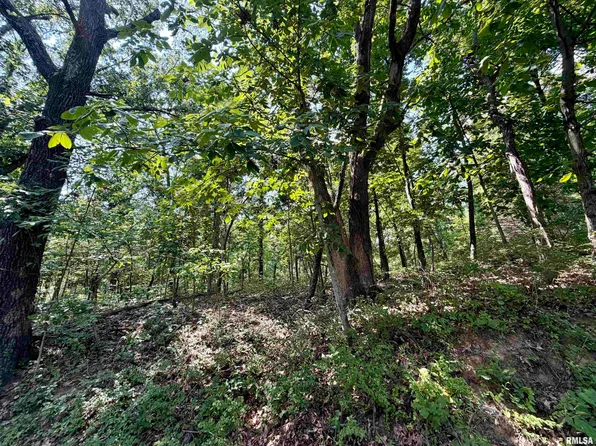 County Road 0 Rd E, Norris City, IL 62869