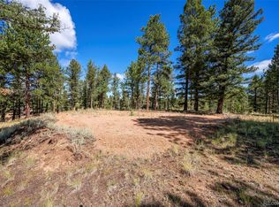 210 Donzi Trail, Florissant, CO 80816