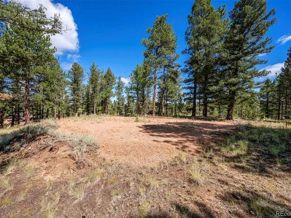 210 Donzi Trail, Florissant, CO 80816