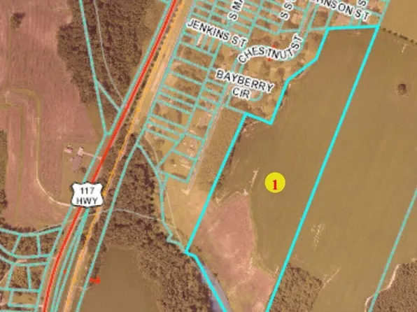 000 Vance Street S, Fremont, NC 27863