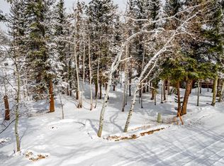 138 Loafers Ln, Woodland Park, CO 80863