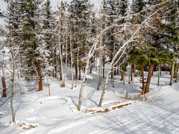 138 Loafers Lane, Woodland Park, CO 80863