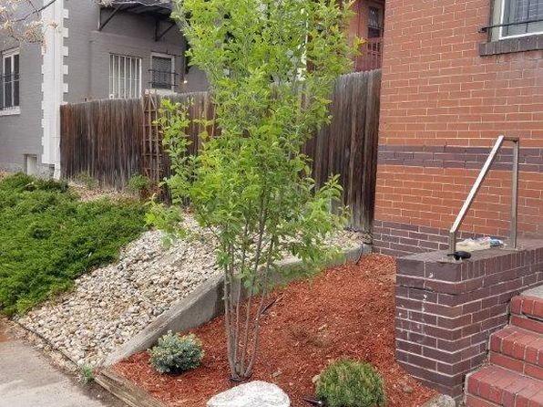 917 E 11th Ave APT 4