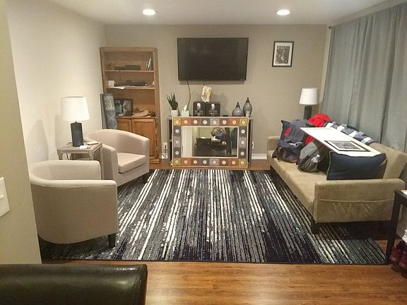 Living room comes furnished