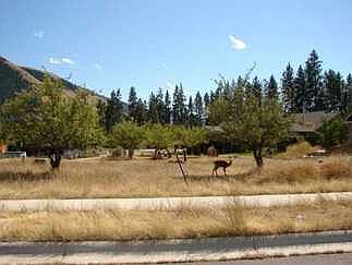 1st image of Nhn Cummins Way Lot 41