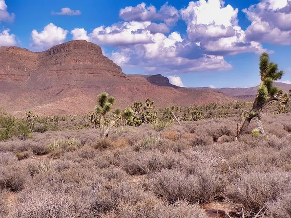 LOT 380 Mead Dr, Meadview, AZ 86444