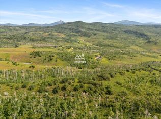 55966 Hannahs Way, Clark, CO 80428