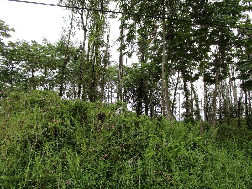 1st image of Kuhio Dr Lot 49