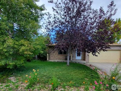 60 Lodgepole Dr, Windsor, CO, 80550
