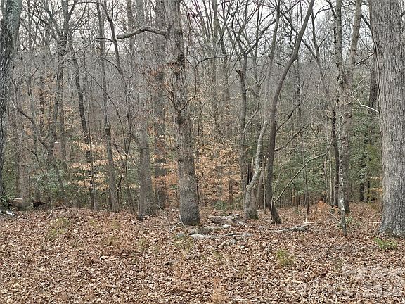 2nd image of 301 Chinkapin Rd