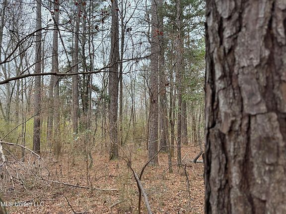 5th image of Mount Elam Church Rd