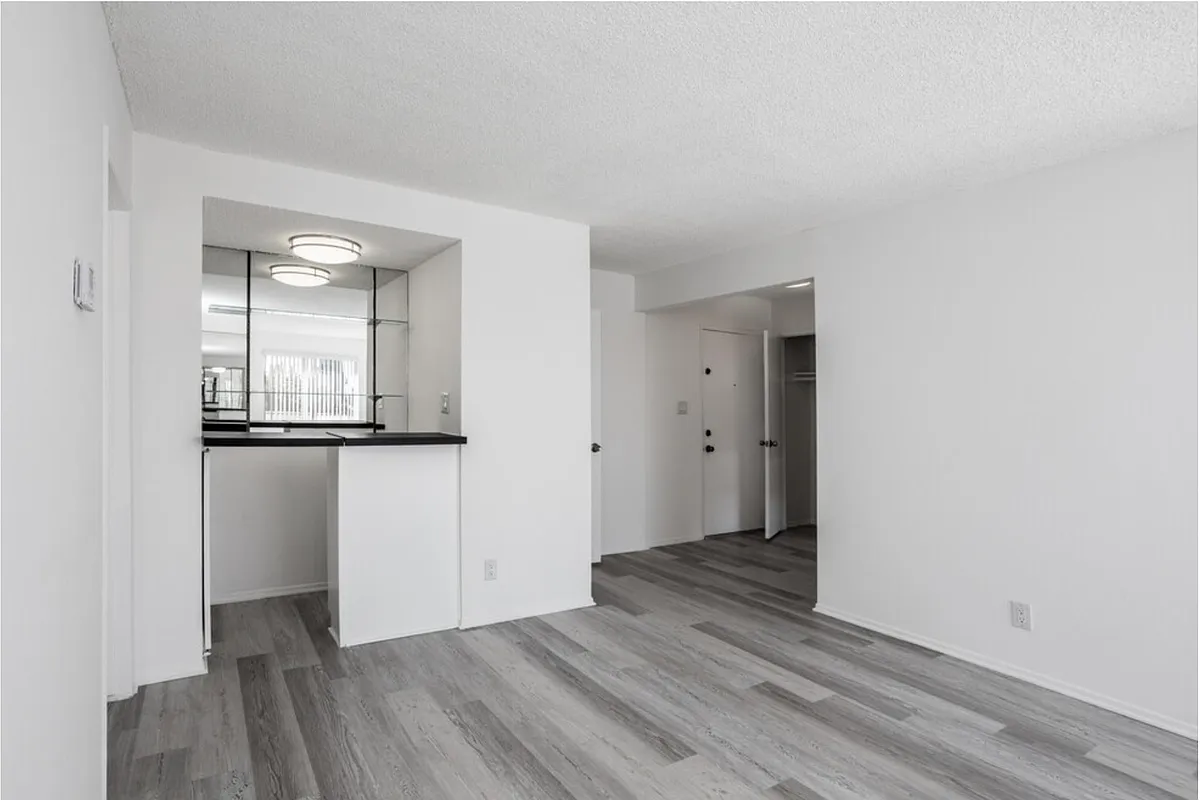 Model Unit - 1 Bed 1 Bath - The Dracena Apts