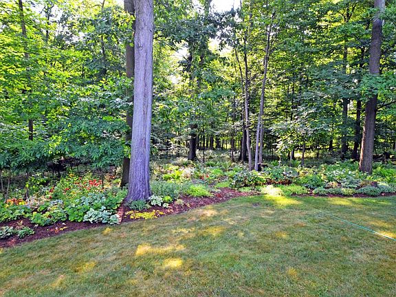 7BackYard