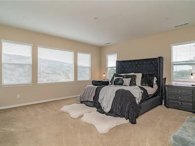 32561 Cherokee Rose St — Photo 7