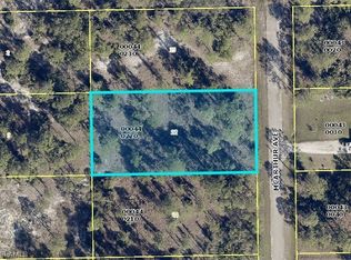 2319 McArthur Ave, Alva, FL 33920