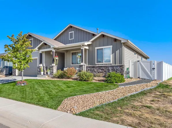 1815 Holloway Dr, Windsor, CO 80550