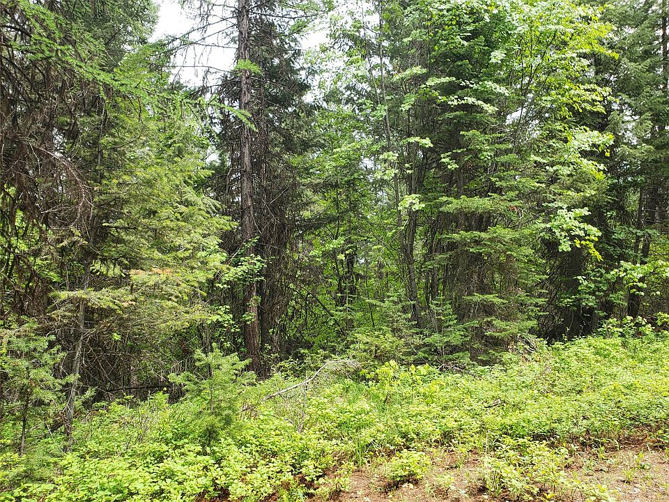 Tbd Butcher Creek Rd, Trego, MT 59934 MLS 30022956 Zillow