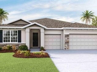 32289 Conchshell Sail St, Wesley Chapel, FL 33545