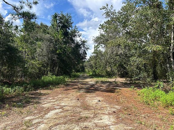 4th image of 1631 NE 123RD TERRACE LOT 6