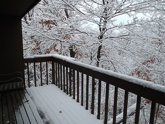 2nd image of 264-266 Cliffside Dr