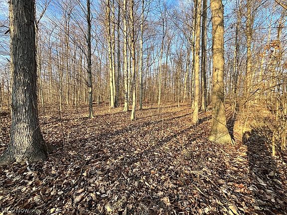 4th image of 302 State Rte