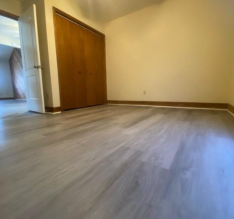 Downstairs bedroom
