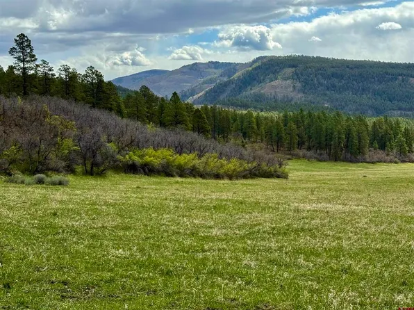 15098 County Road 240, Bayfield, CO 81122