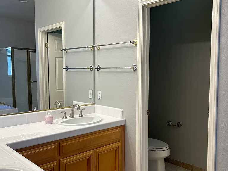 Master Bath Sinks & Toilet