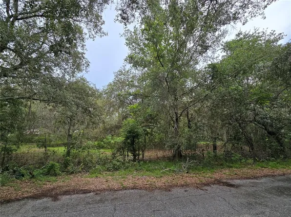 13311 Midway Ave Lot 10, Astatula, FL 34705