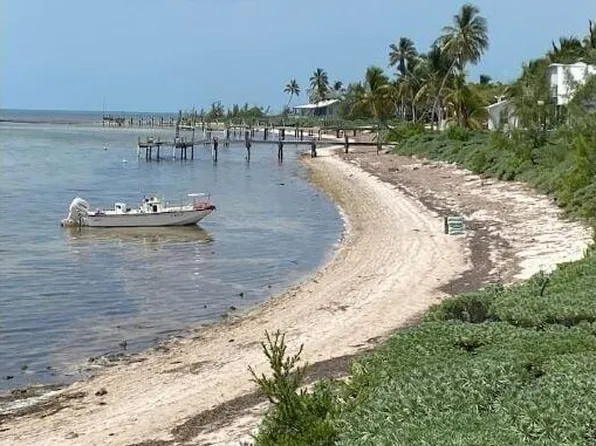 4 Cooks Is, Big Pine Key, FL 33043