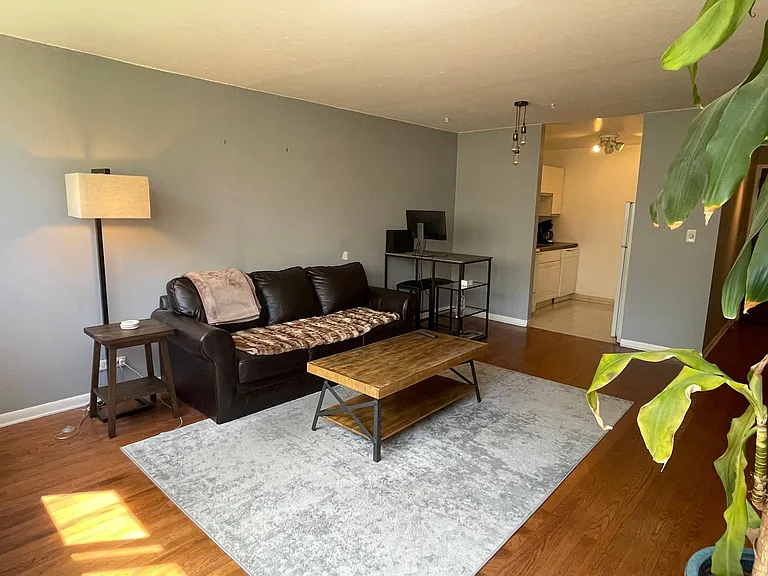 30 E Division St #4C — Photo 3