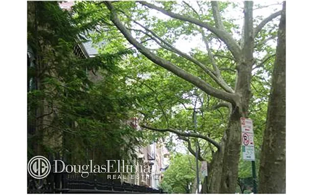 Rented by Douglas Elliman | media 7