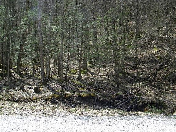 perfect setting for a mountain cabin