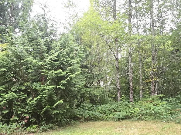 0 Alder Place, Elma, WA 98541