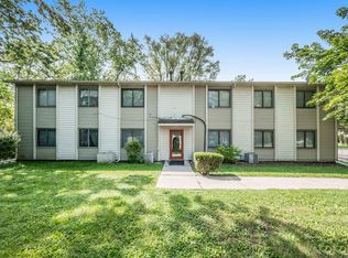 209 Park St #216-103, Chelsea, MI 48118