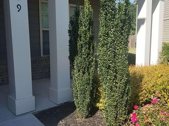 4th image of 389 Summit Village Dr